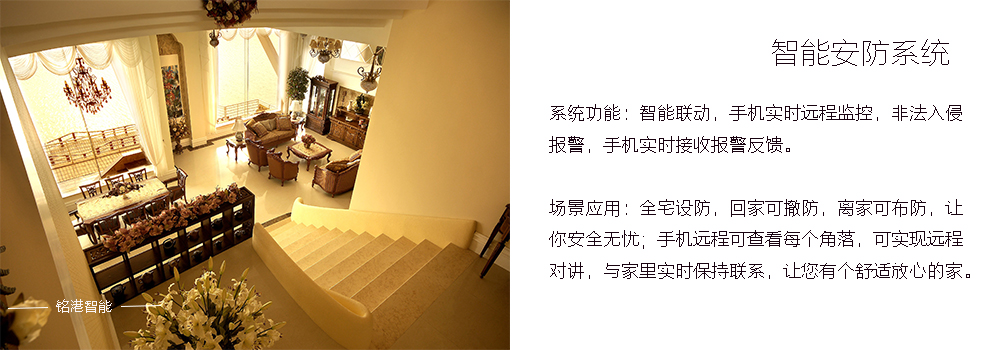 聯(lián)排安防